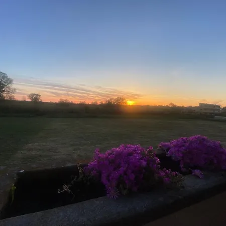 I 4 Mori * פיומיצ'ינו